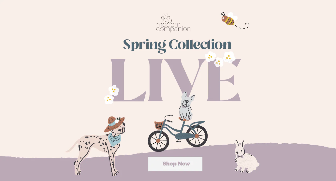 Elevated Style for Modern Pets
